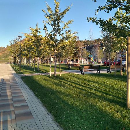 Apartman Sani Donji Milanovac Dış mekan fotoğraf