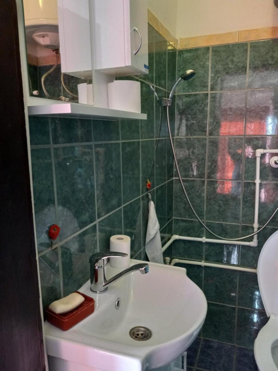 Apartman Sani Donji Milanovac Dış mekan fotoğraf