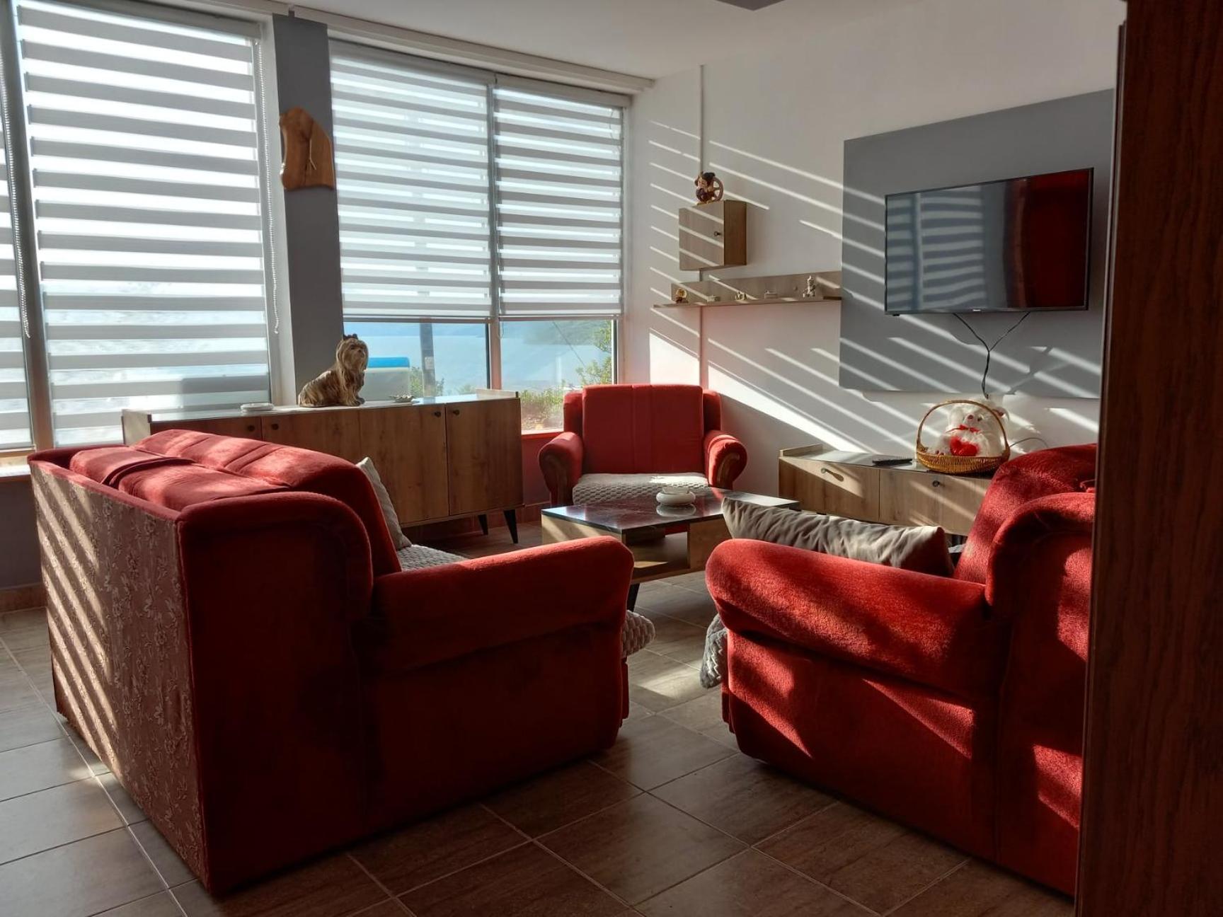 Apartman Sani Donji Milanovac Dış mekan fotoğraf