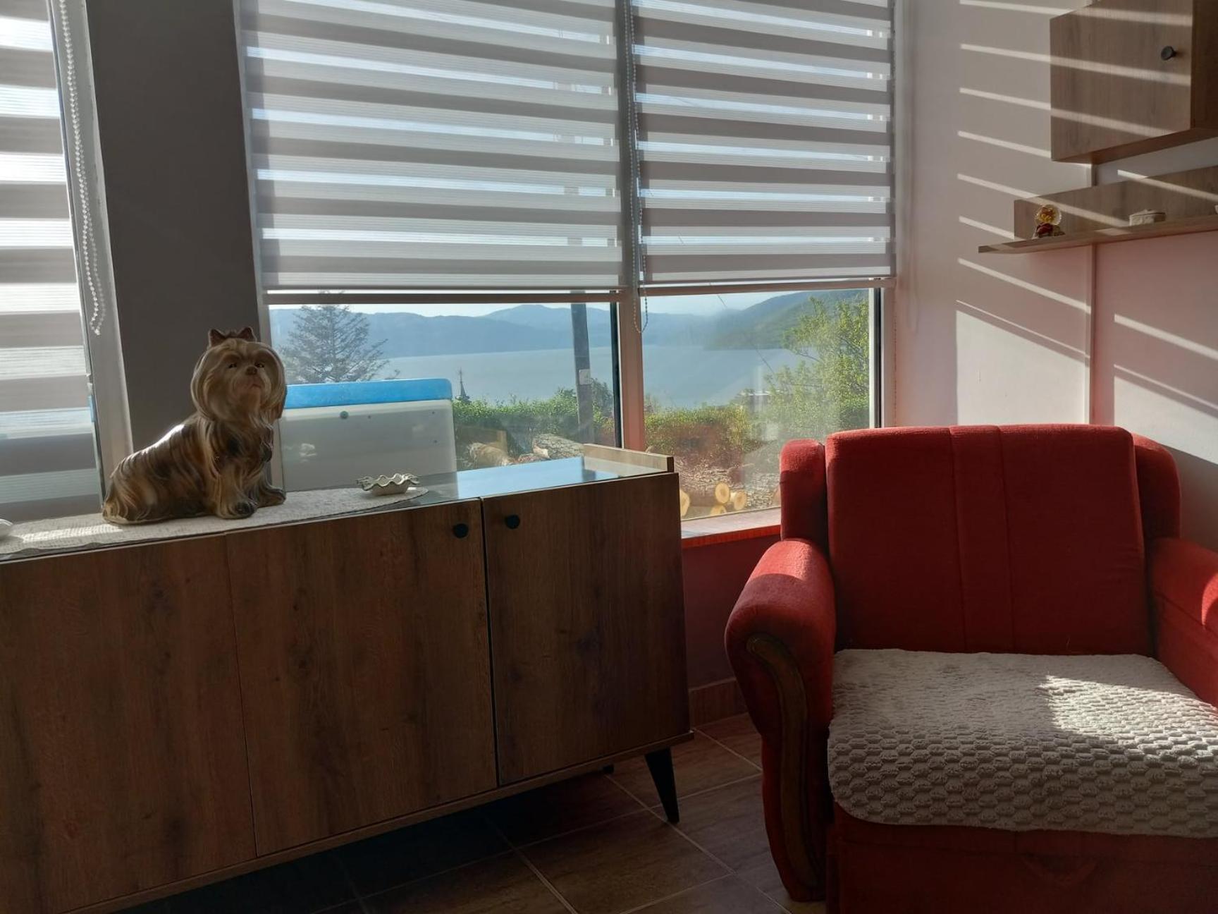 Apartman Sani Donji Milanovac Dış mekan fotoğraf