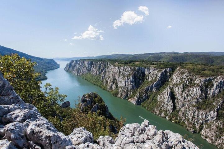 Apartman Sani Daire Donji Milanovac Dış mekan fotoğraf