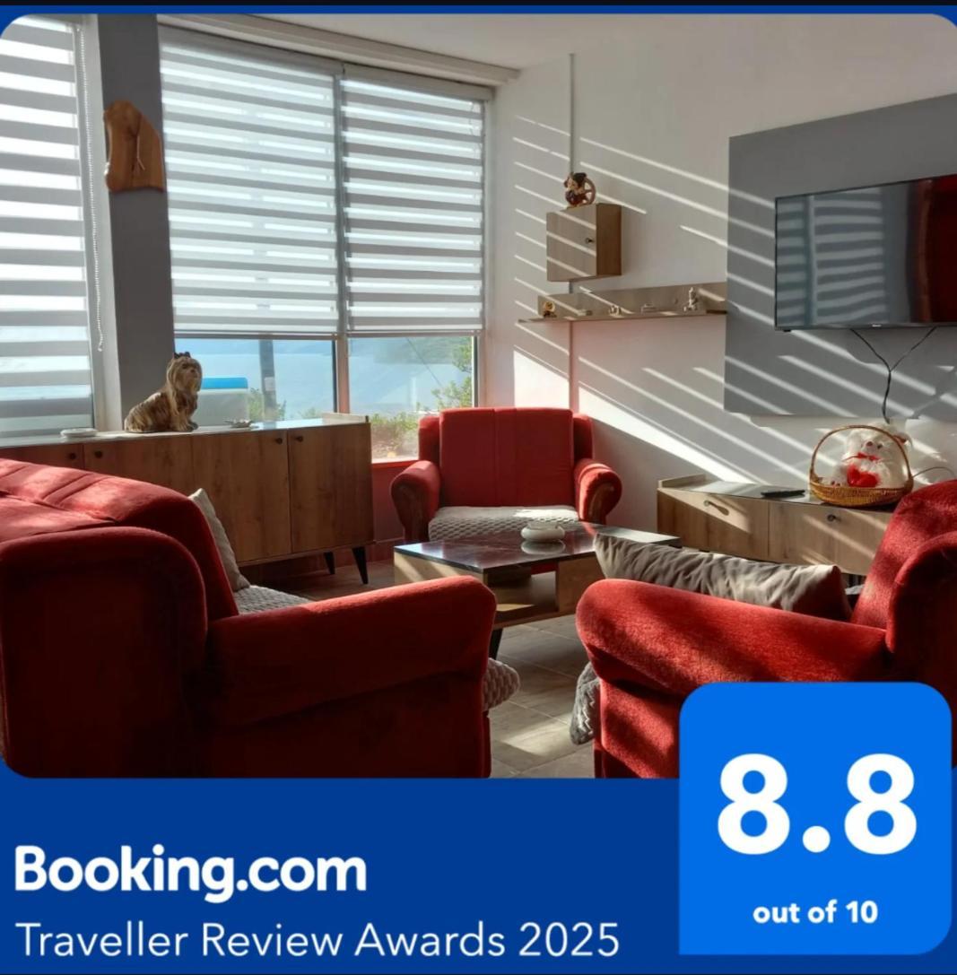 Apartman Sani Donji Milanovac Dış mekan fotoğraf