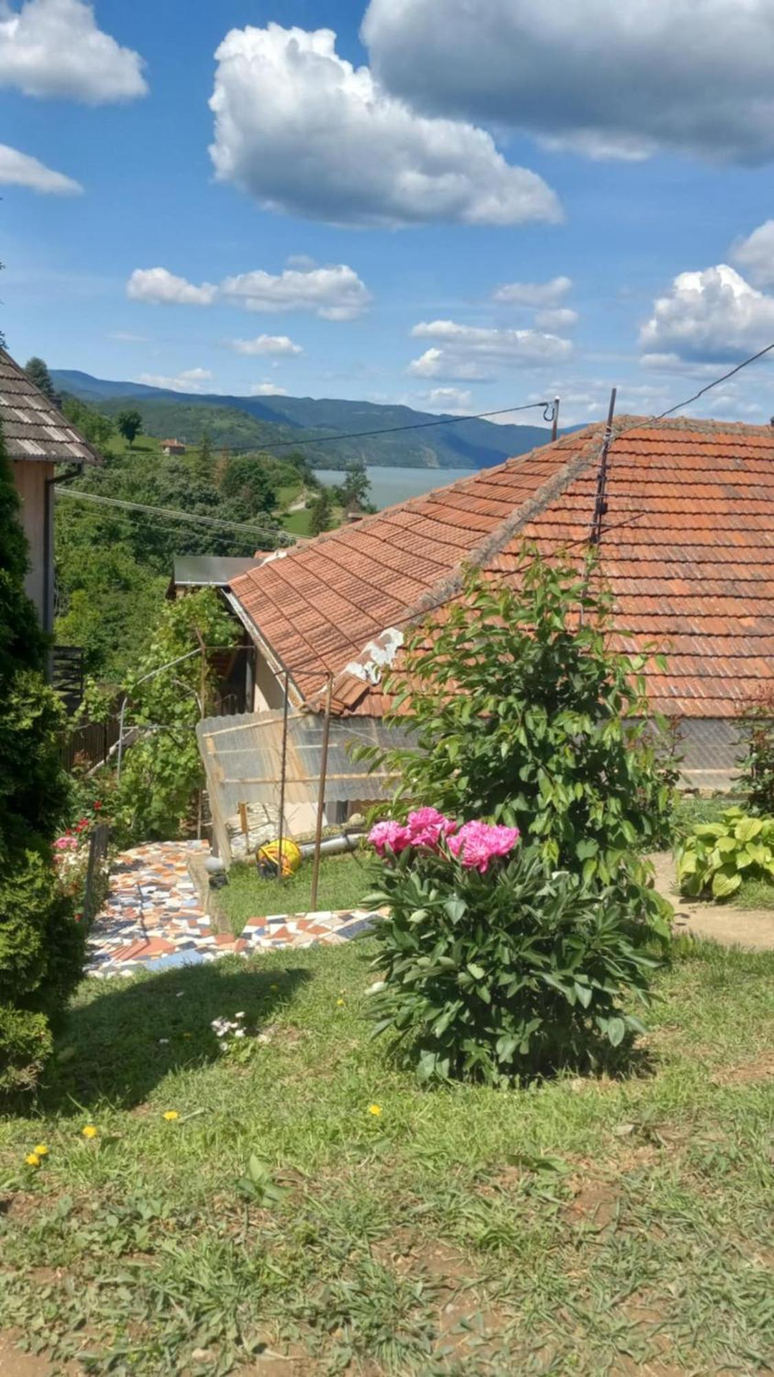 Apartman Sani Donji Milanovac Dış mekan fotoğraf